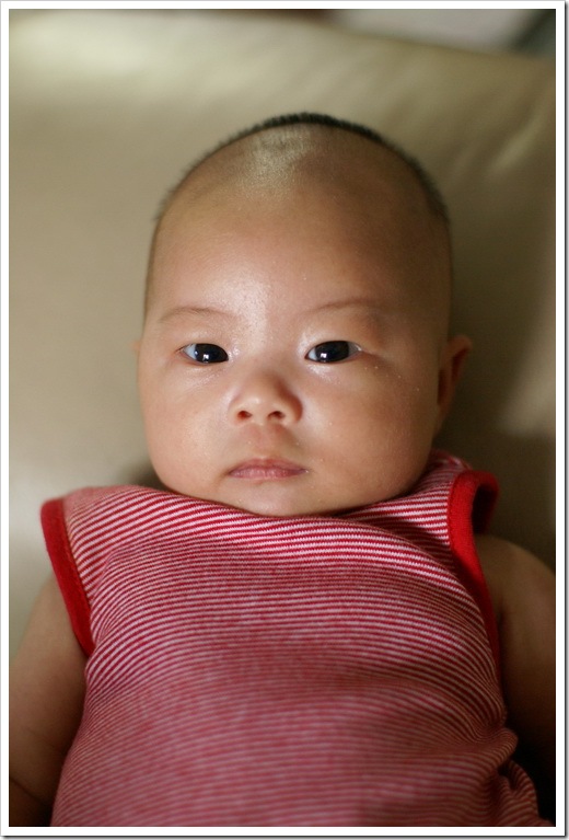 DSC09517_resize