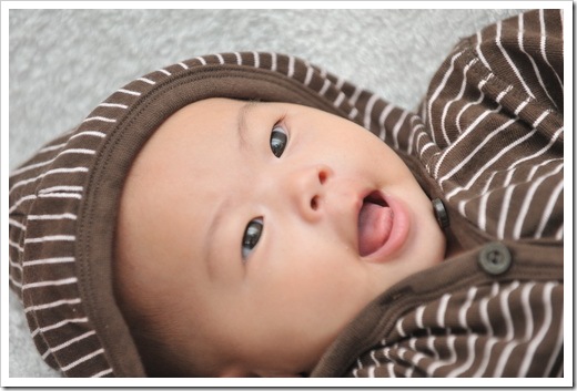 DSC_7134_resize