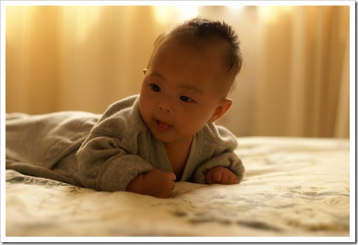 DSC01400_resize