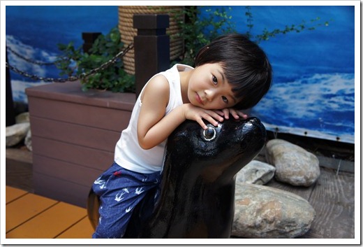 SONY DSC                       